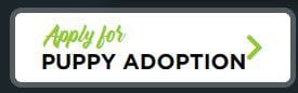 A banner with the words " for charity adoption " on it.