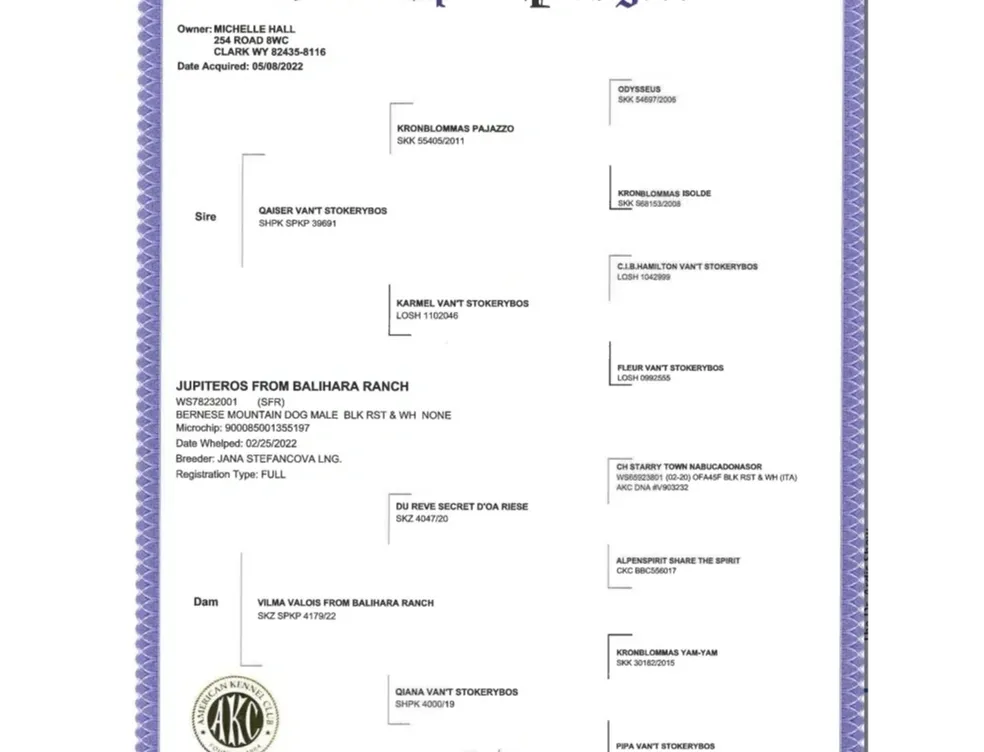 A family tree with the names of each member.