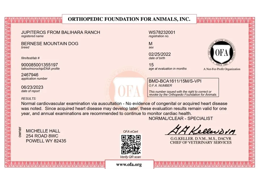 A certificate of medical information for an animal.