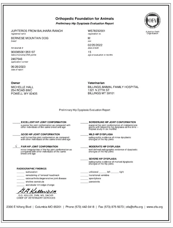 A page of the city council 's application for an additional $ 1 0, 0 0 0.