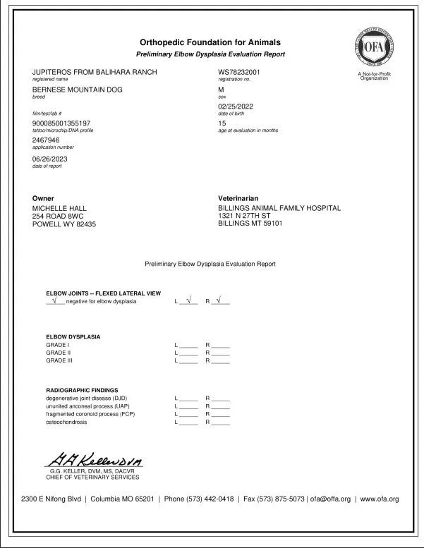 A page of an invoice with the address and numbers.