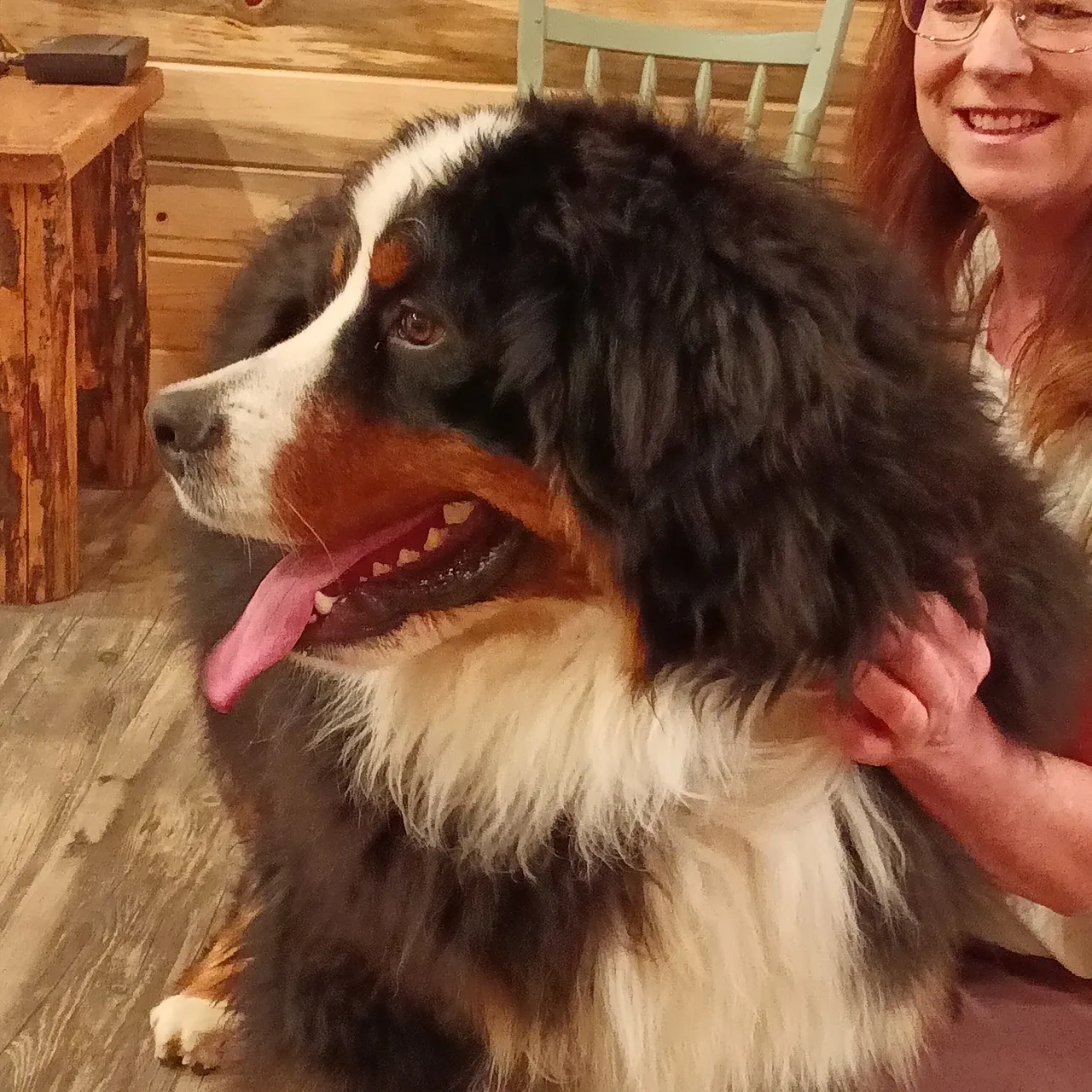 A woman is petting the face of a dog.