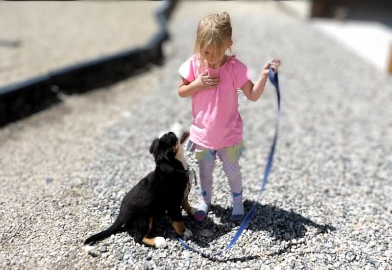 A little girl holding onto a leash and sitting on the ground with her dog.
