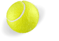 A tennis ball is shown in the air.