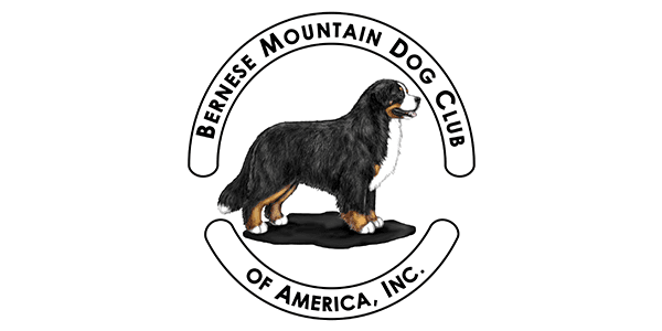 A black and brown dog is standing in front of the bernese mountain dog club logo.