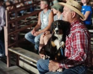 A man and his dog are sitting in the bleachers.