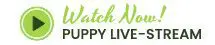 A logo of dutch meadow happy living