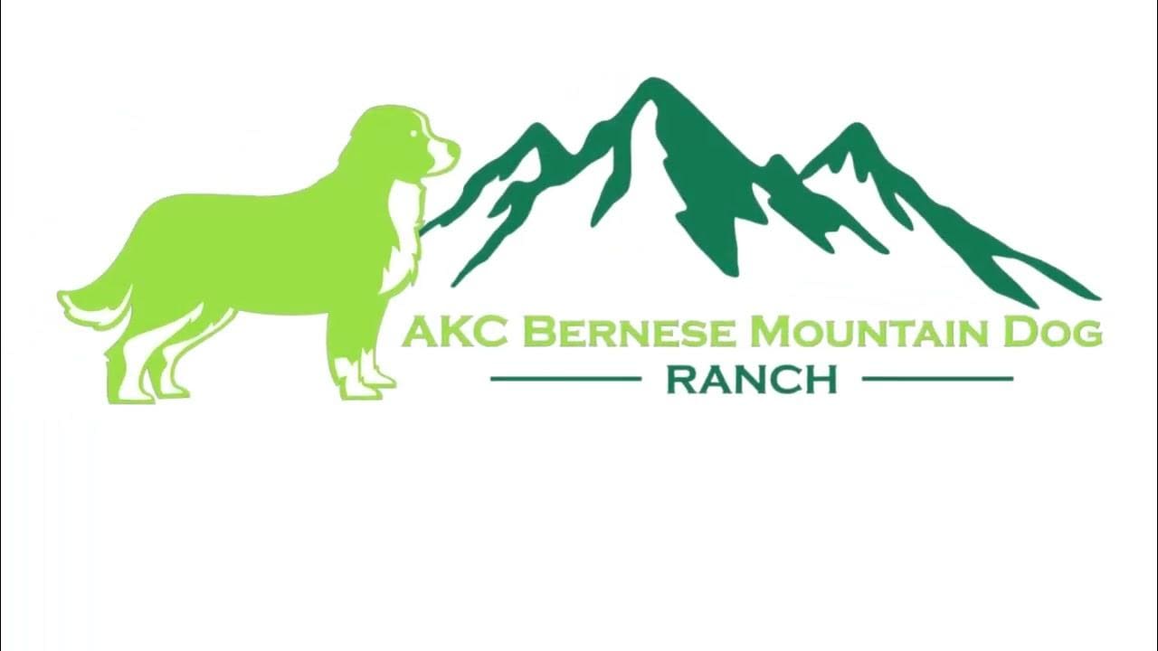 Home - Mountain Dog Breeders - AKCBMDR