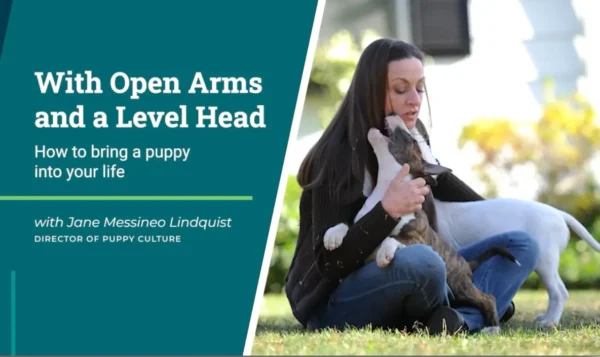 Madcap Univiersity's With Open Arms and a Level Head: How to bring puppy into your life - Lifetime Access